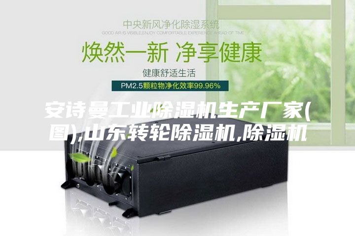 安诗曼工业除湿机生产厂家(图),山东转轮除湿机,除湿机