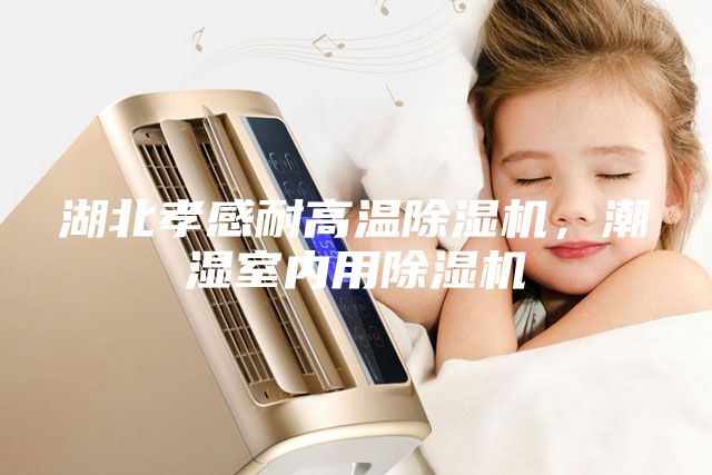 湖北孝感耐高温除湿机，潮湿室内用除湿机