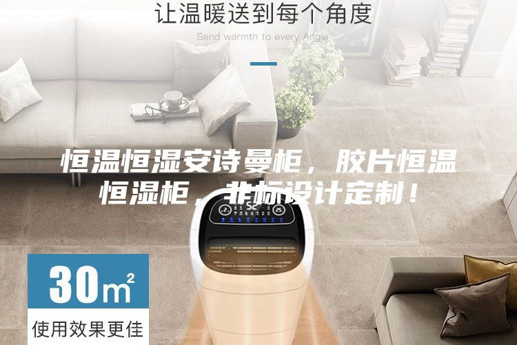 恒温恒湿安诗曼柜，胶片恒温恒湿柜，非标设计定制！