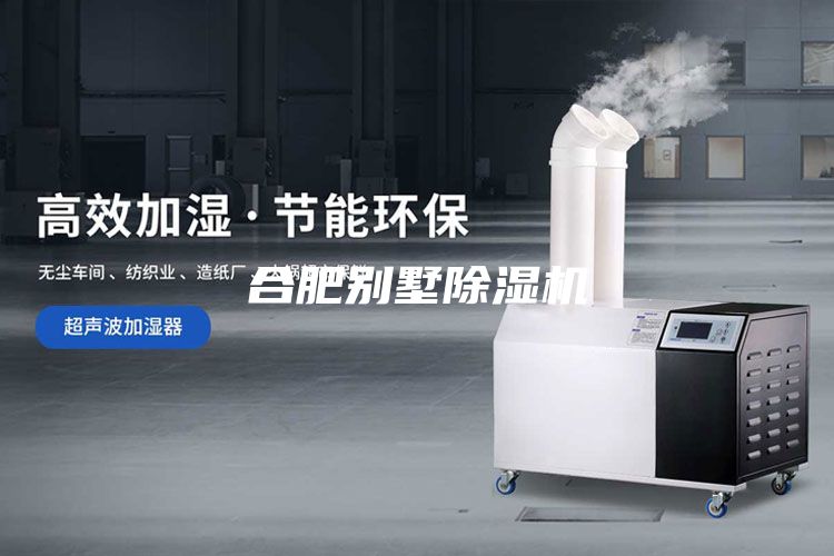 合肥别墅除湿机