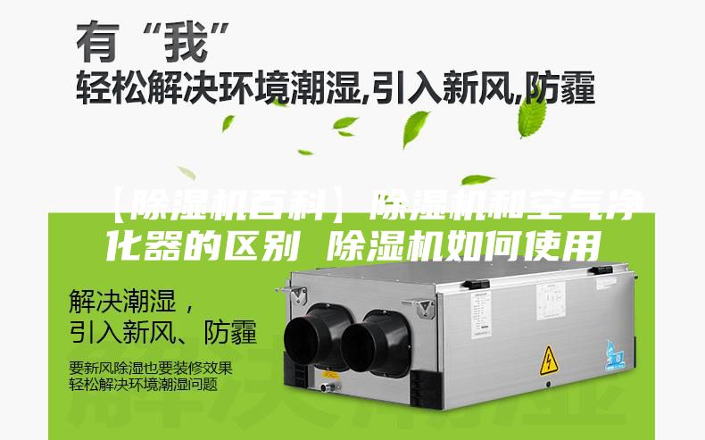 【除湿机百科】除湿机和空气净化器的区别 除湿机如何使用