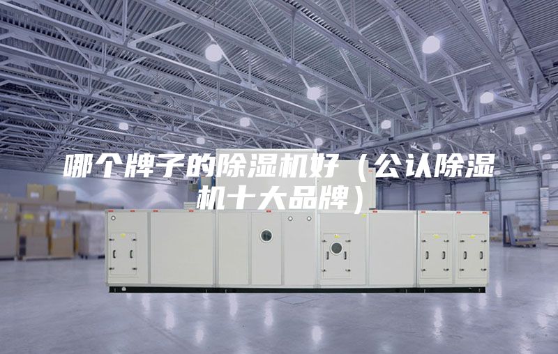 哪个牌子的除湿机好（公认除湿机十大品牌）