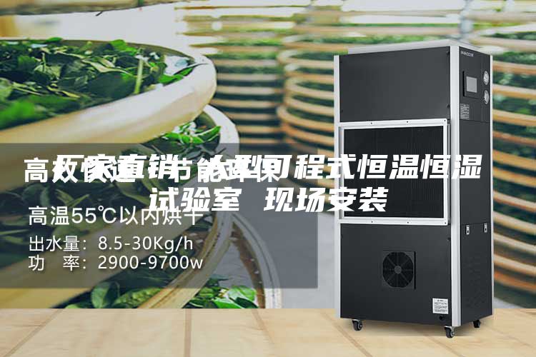 厂家直销 大型可程式恒温恒湿试验室 现场安装