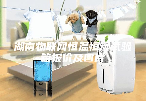 湖南物联网恒温恒湿试验箱报价及图片
