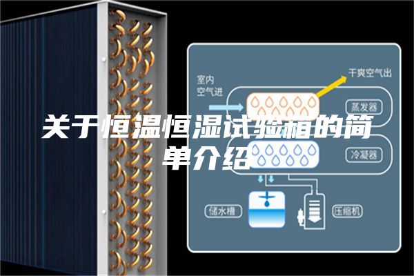 关于恒温恒湿试验箱的简单介绍