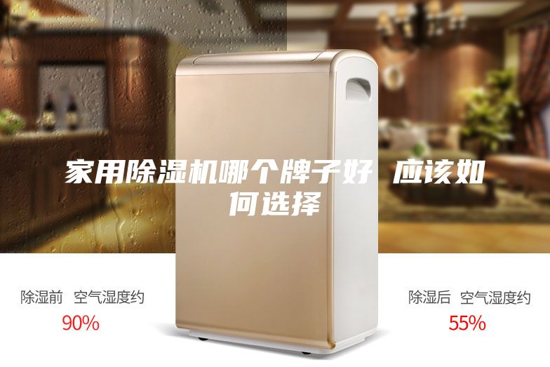家用除湿机哪个牌子好 应该如何选择