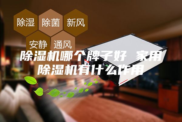 除湿机哪个牌子好 家用除湿机有什么作用
