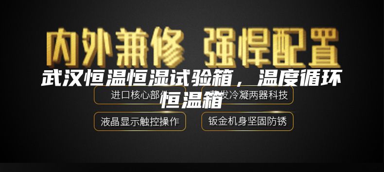 武汉恒温恒湿试验箱，温度循环恒温箱