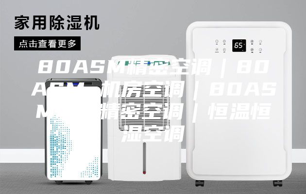 80ASM精密空调｜80ASM 机房空调｜80ASM机房精密空调｜恒温恒湿空调