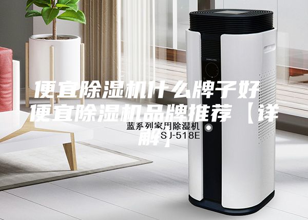 便宜除湿机什么牌子好 便宜除湿机品牌推荐【详解】