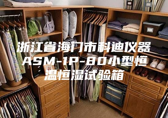 浙江省海门市科迪仪器ASM-1P-80小型恒温恒湿试验箱