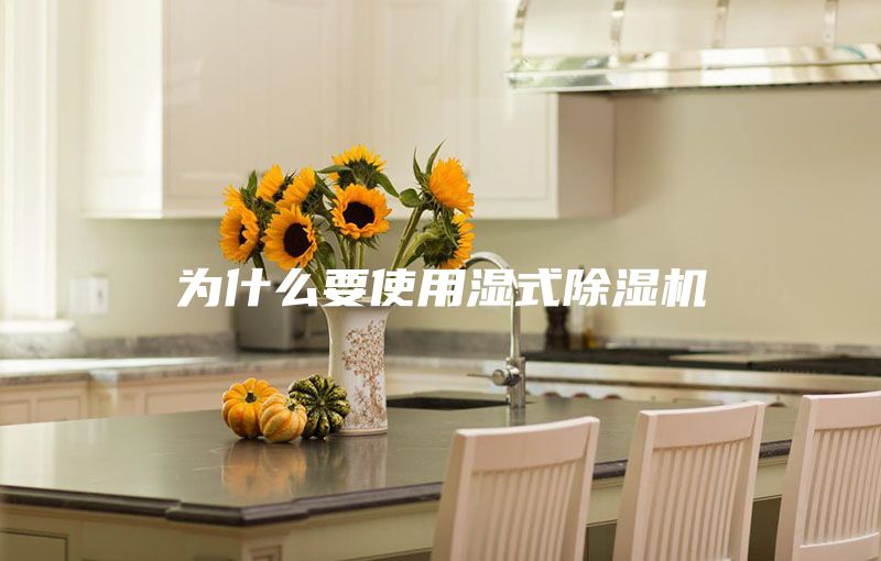 为什么要使用湿式除湿机