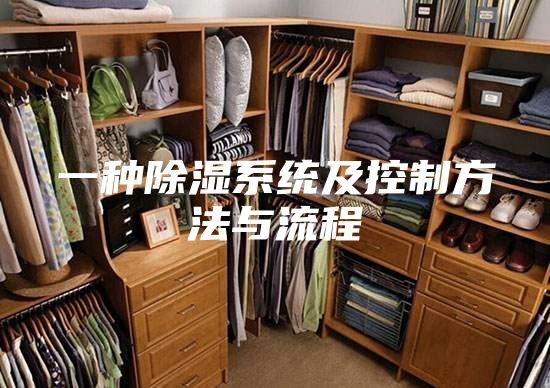 一种除湿系统及控制方法与流程
