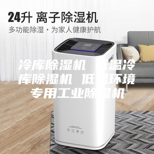 冷库除湿机 低温冷库除湿机 低温环境专用工业除湿机