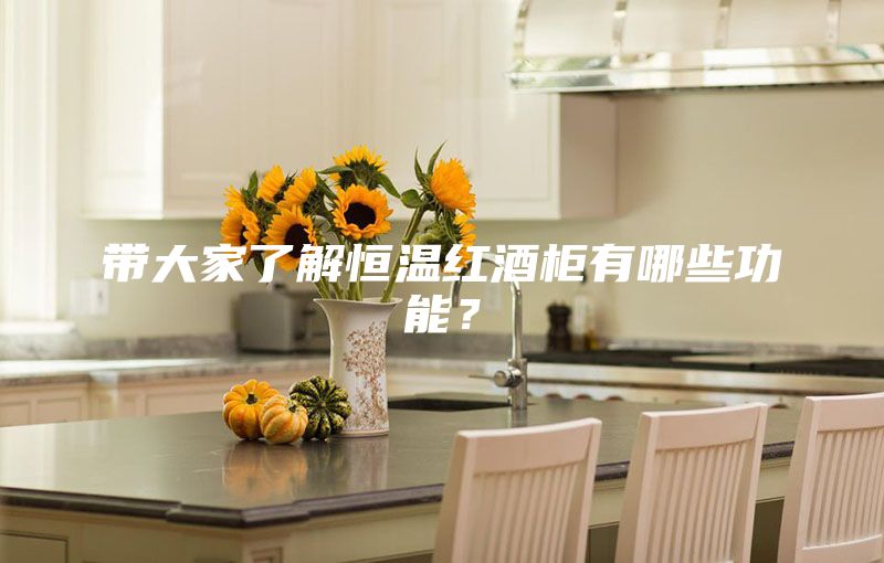 带大家了解恒温红酒柜有哪些功能？