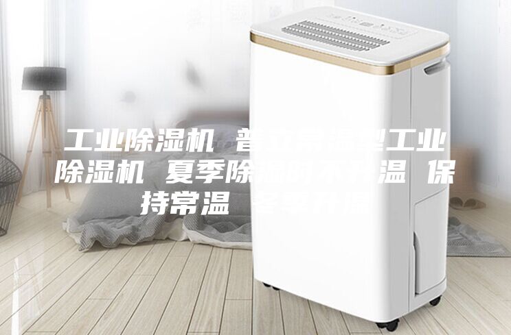 工业除湿机 普立常温型工业除湿机 夏季除湿时不升温 保持常温 冬季升温