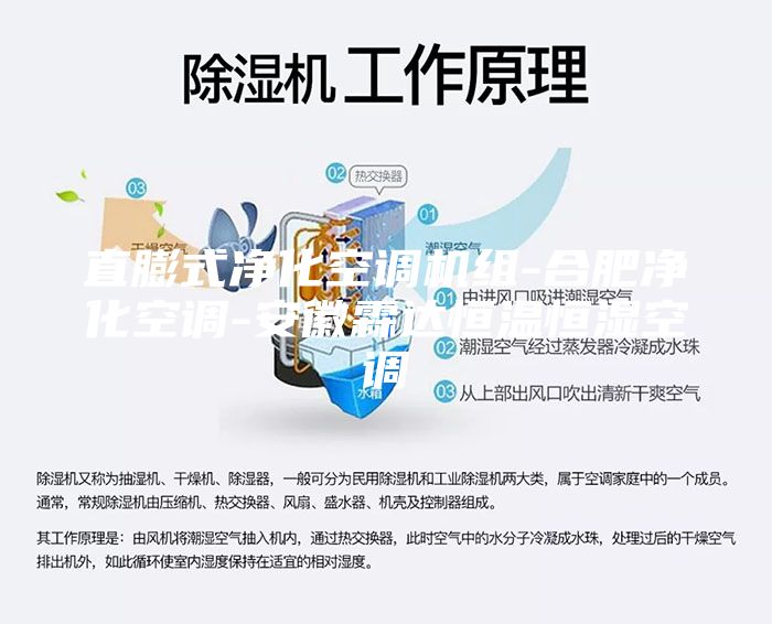 直膨式净化空调机组-合肥净化空调-安徽霖达恒温恒湿空调