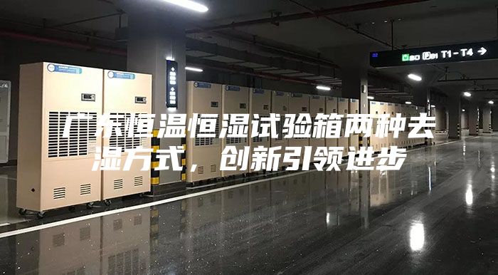 广东恒温恒湿试验箱两种去湿方式，创新引领进步