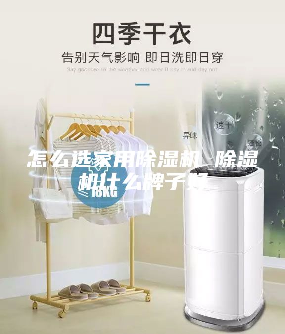 怎么选家用除湿机 除湿机什么牌子好