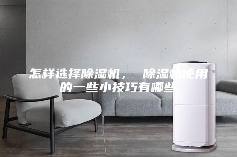 怎样选择除湿机， 除湿机使用的一些小技巧有哪些