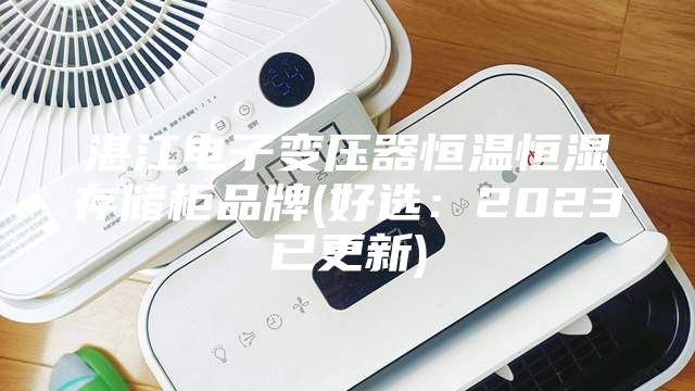 湛江电子变压器恒温恒湿存储柜品牌(好选：2023已更新)