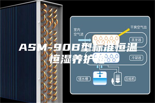ASM-90B型标准恒温恒湿养护箱