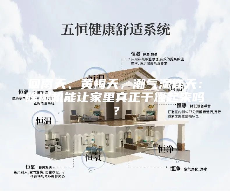 回南天、黄梅天，潮气湿连天：除湿机能让家里真正干燥起来吗？