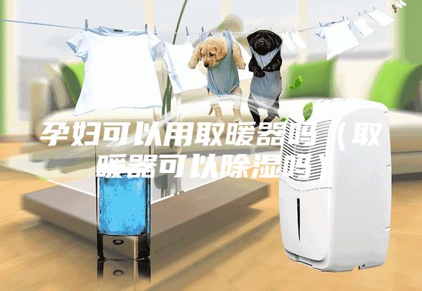 孕妇可以用取暖器吗（取暖器可以除湿吗）