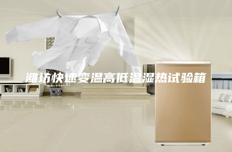 潍坊快速变温高低温湿热试验箱