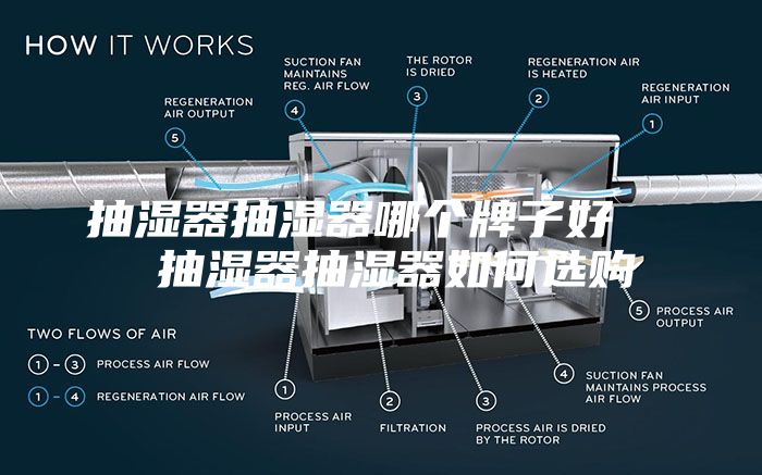 抽湿器抽湿器哪个牌子好   抽湿器抽湿器如何选购