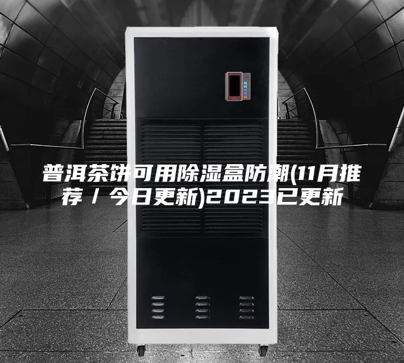 普洱茶饼可用除湿盒防潮(11月推荐／今日更新)2023已更新