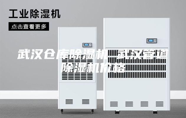 武汉仓库除湿机 武汉管道除湿机价格
