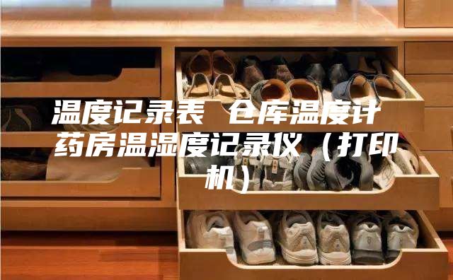 温度记录表 仓库温度计 药房温湿度记录仪（打印机）