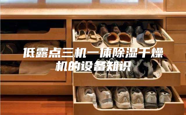 低露点三机一体除湿干燥机的设备知识