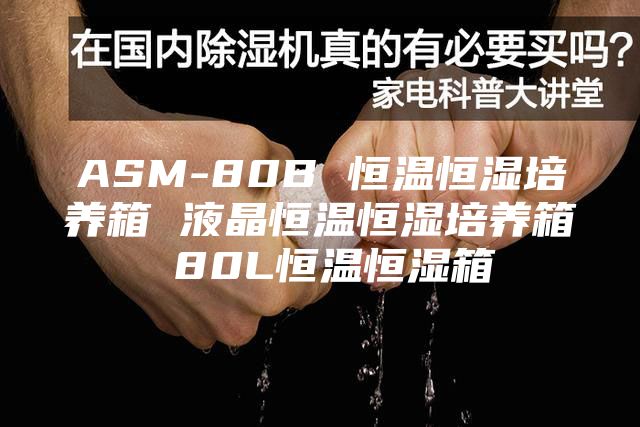 ASM-80B 恒温恒湿培养箱 液晶恒温恒湿培养箱 80L恒温恒湿箱