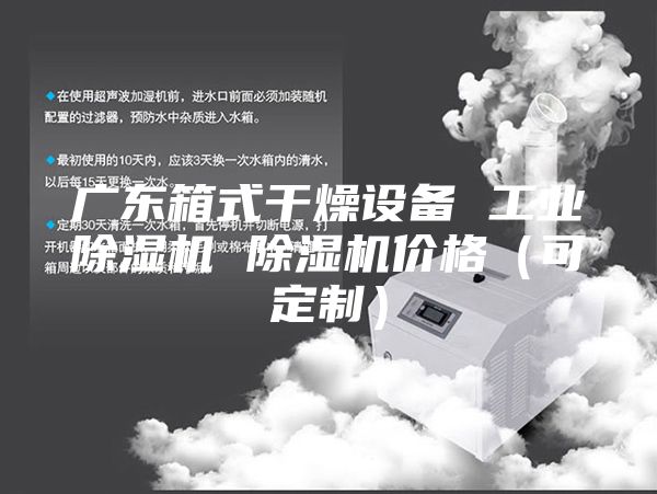 广东箱式干燥设备 工业除湿机 除湿机价格（可定制）