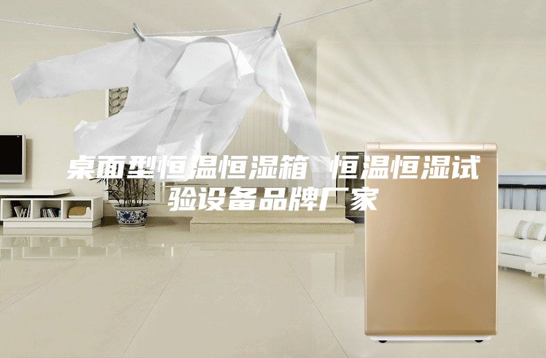 桌面型恒温恒湿箱 恒温恒湿试验设备品牌厂家