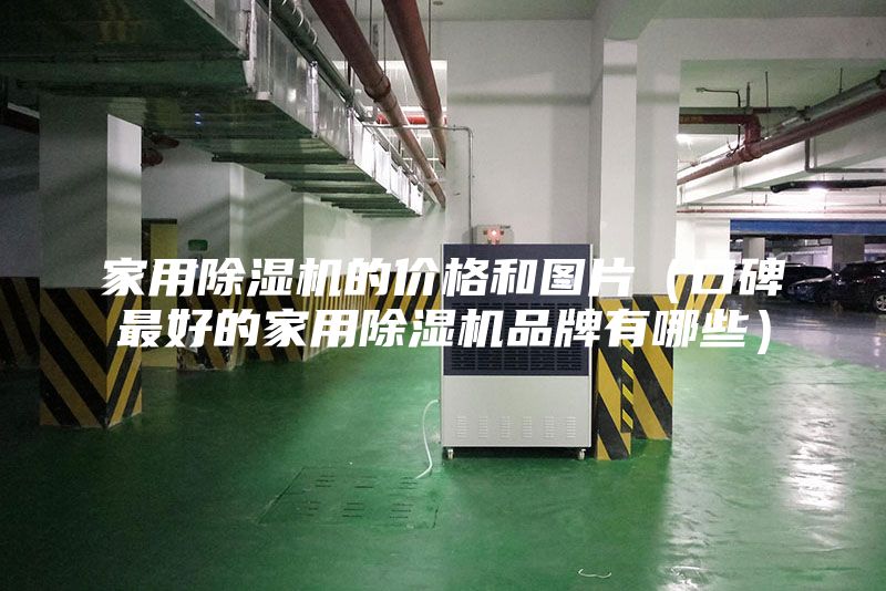 家用除湿机的价格和图片（口碑最好的家用除湿机品牌有哪些）