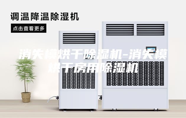 消失模烘干除湿机-消失模烘干房用除湿机