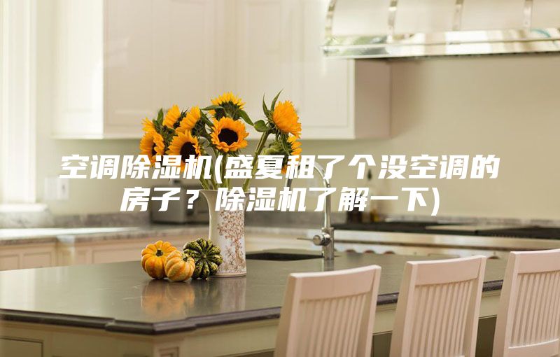 空调除湿机(盛夏租了个没空调的房子？除湿机了解一下)