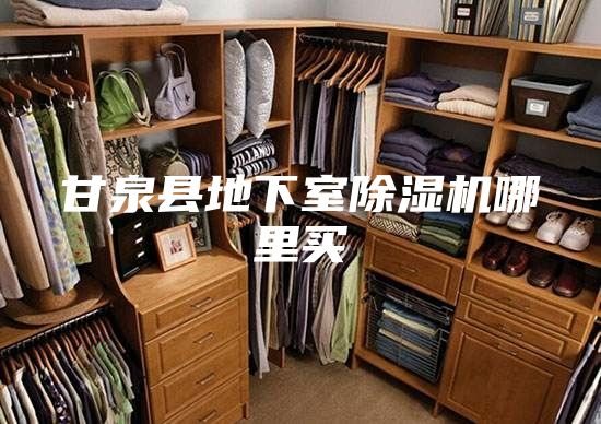 甘泉县地下室除湿机哪里买