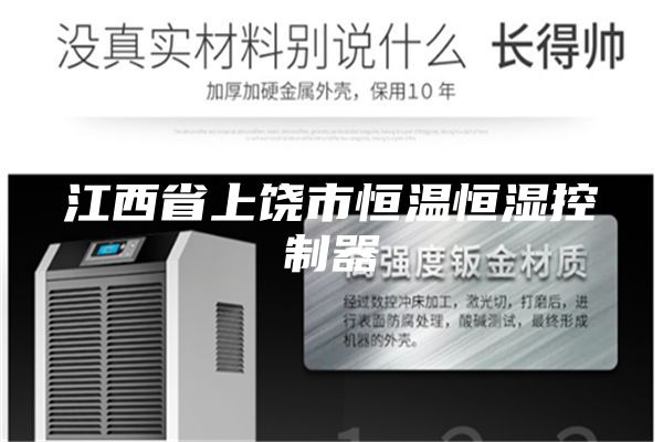 江西省上饶市恒温恒湿控制器