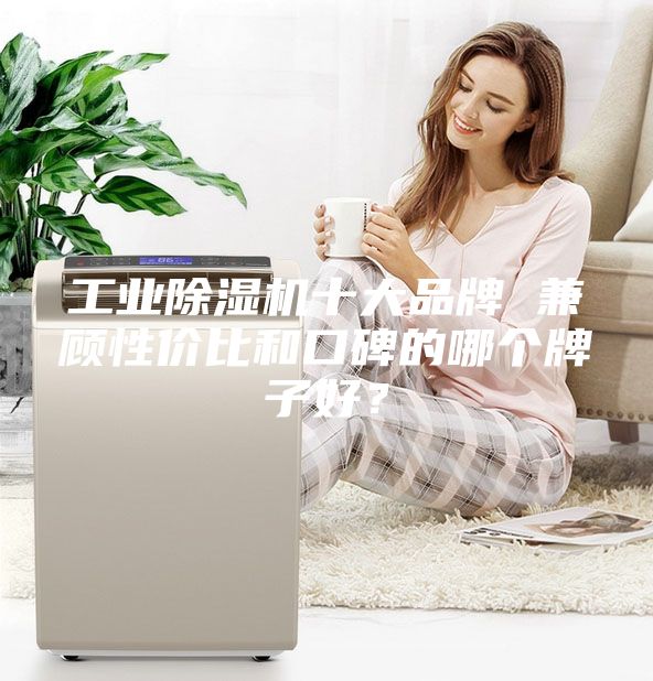工业除湿机十大品牌 兼顾性价比和口碑的哪个牌子好？