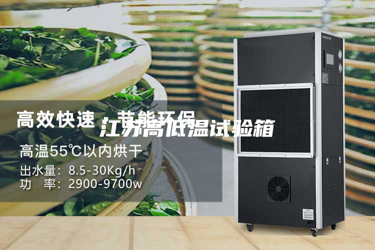 江苏高低温试验箱