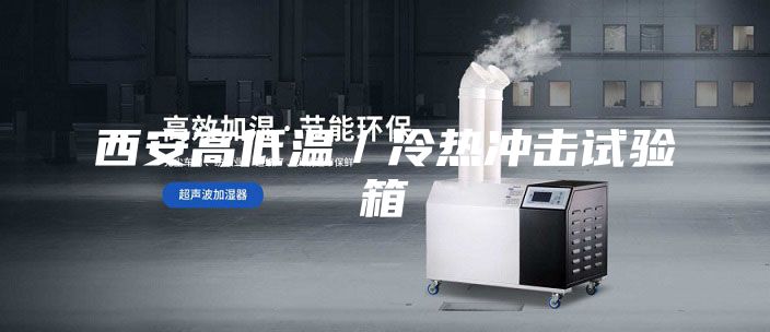西安高低温／冷热冲击试验箱