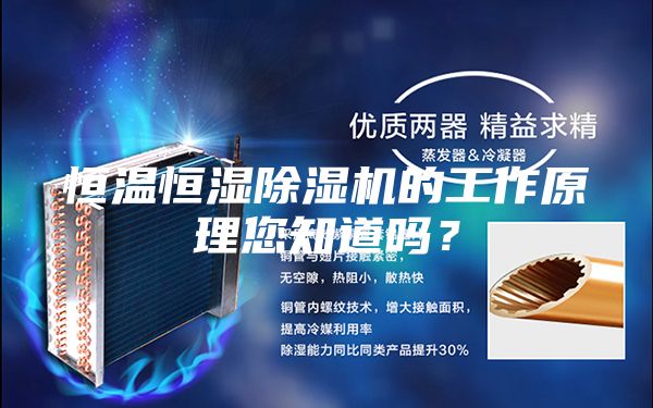 恒温恒湿除湿机的工作原理您知道吗？