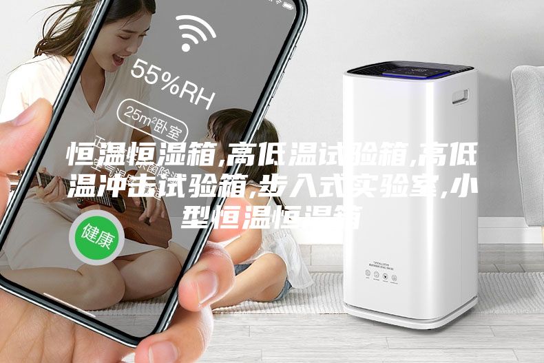 恒温恒湿箱,高低温试验箱,高低温冲击试验箱,步入式实验室,小型恒温恒湿箱