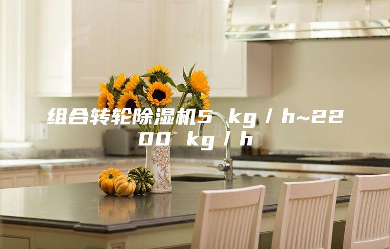组合转轮除湿机5 kg／h~2200 kg／h