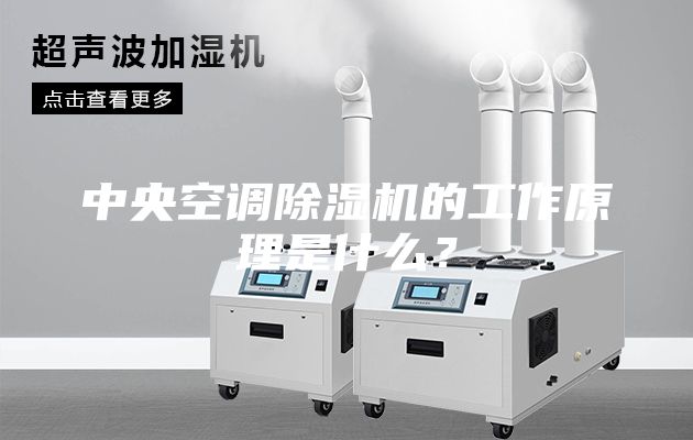 中央空调除湿机的工作原理是什么？