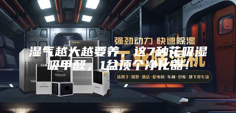 湿气越大越要养，这7种花吸湿吸甲醛，1盆顶个净化器！